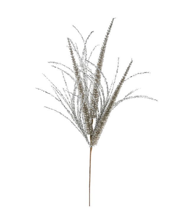 Tige d'herbe platine brillante 32 po