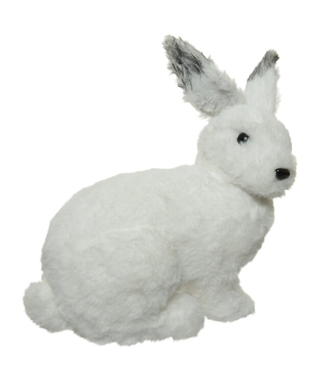 Lapin blanc 11,5 po