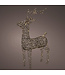 Renne illuminé 57 po