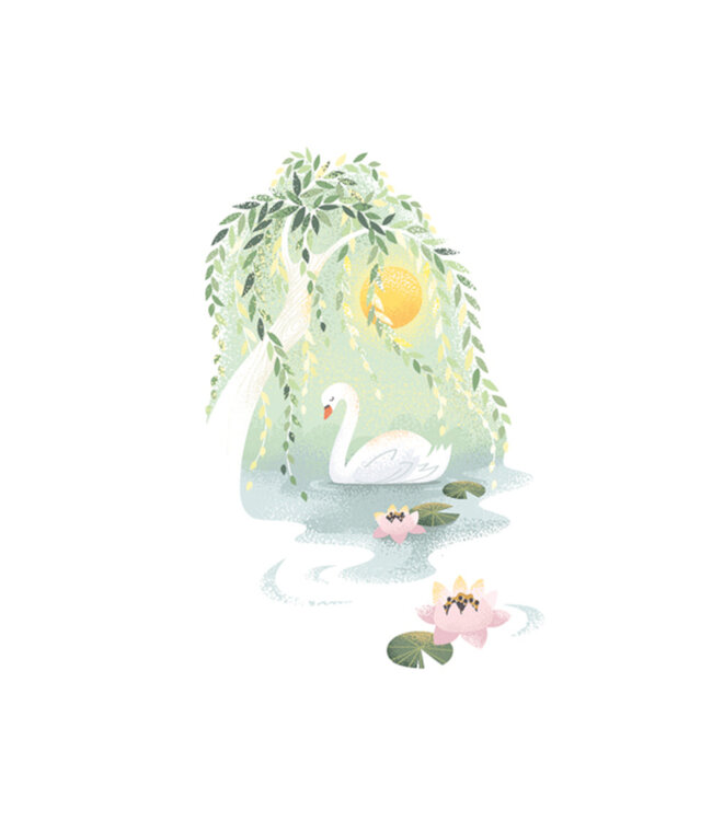 Carte - Cygne
