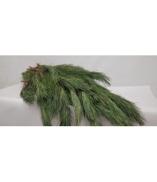 paquet pin rouge petit 10 lbs paquet pin rouge petit 10 lbs