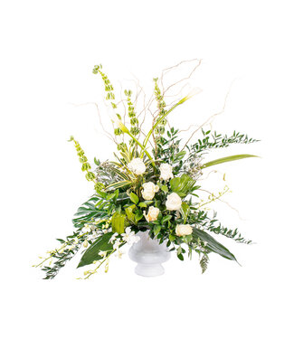 Signé Garneau Beauté blanche - AF-2335