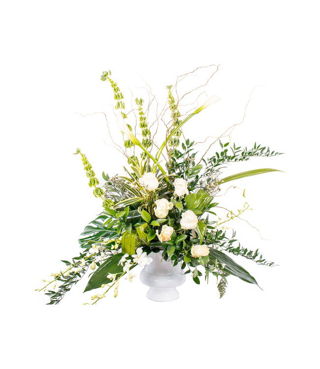Beauté blanche - AF-2335