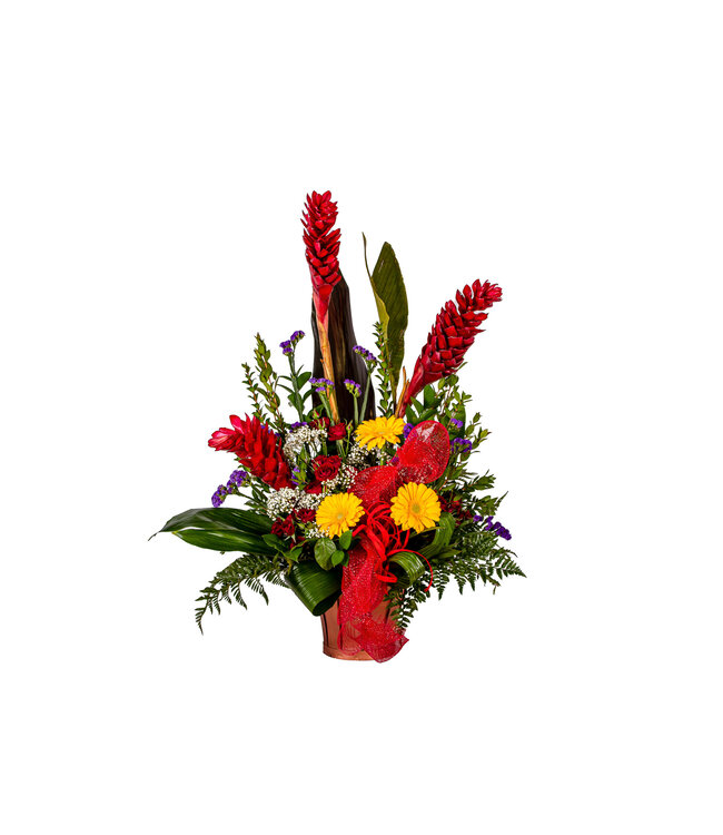 Signé Garneau Hommage coloré - AF-2340