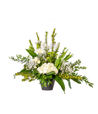 Signé Garneau Blanc paisible - AF-2362