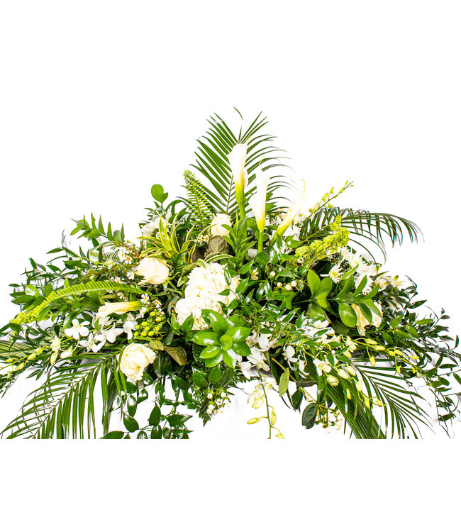 Diamant brut - CF-2304