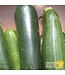 Ferme Tournesol Courgette Dark Green bio