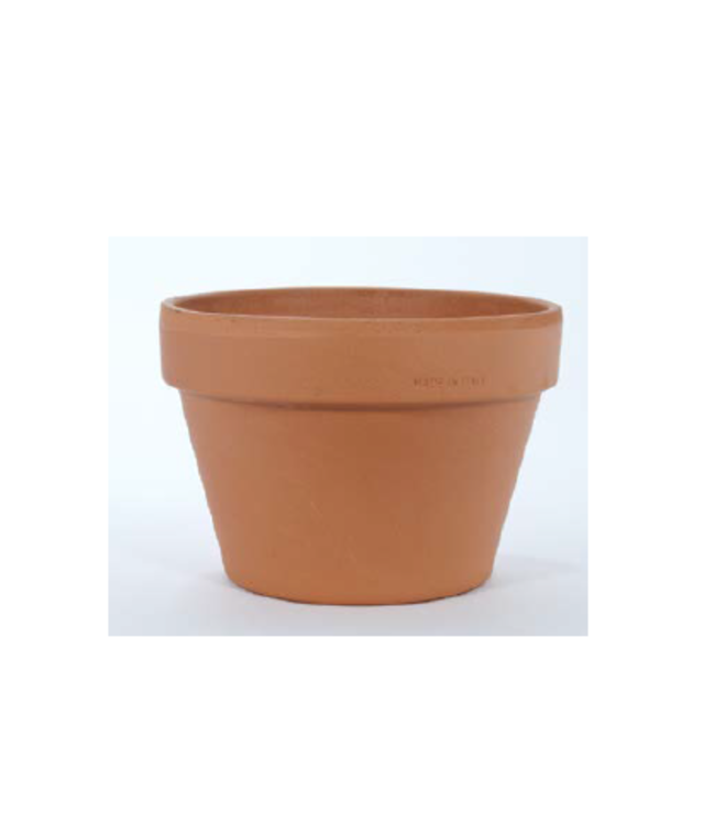 Pot azalée Italienne terrecuite