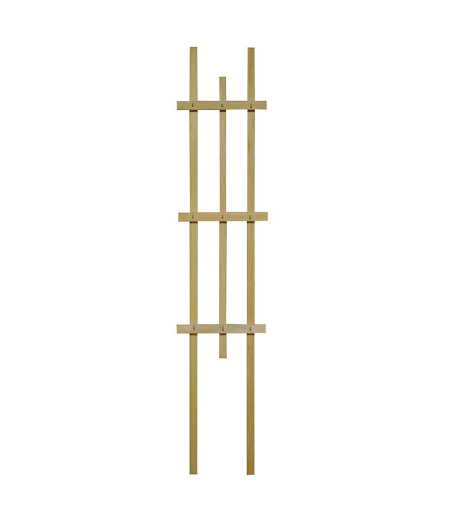 Treillis miniature pour plantes d'intérieurs 5 x 24