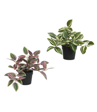 Plante Trandescantia artificielle verte et rose 9 po