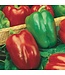 Mr. Forthergill's Poivron California Wonder