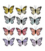 Papillons 4 couleurs assortie 3 po