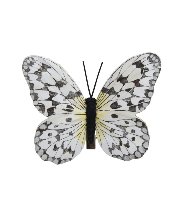 Papillons en plumes blanc 4,5 po