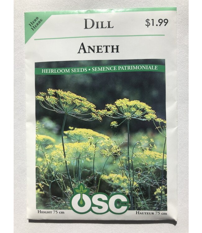Aneth