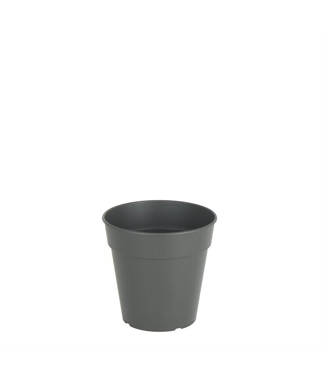 Pot de culture Madagascar 8 po anthracite