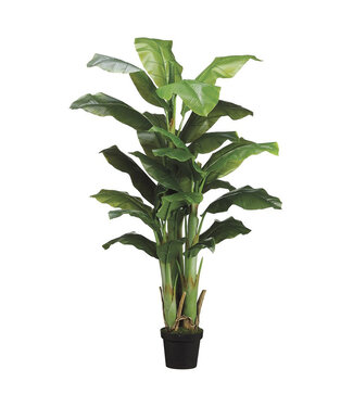 Bananier Artificiel en Pot 5 pi