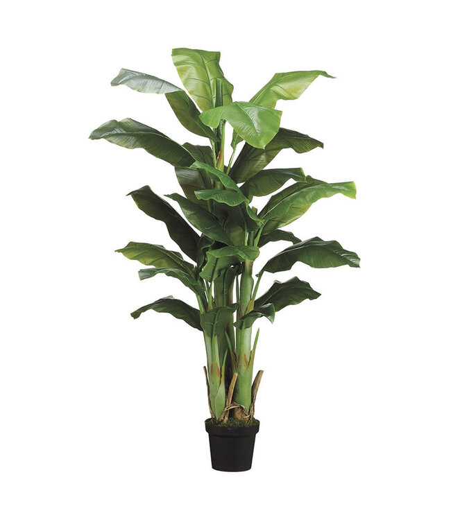 Bananier Artificiel Luxuriant en Pot 5 pi