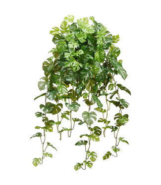 Bouquet de Philodendron troué retombant 36 po