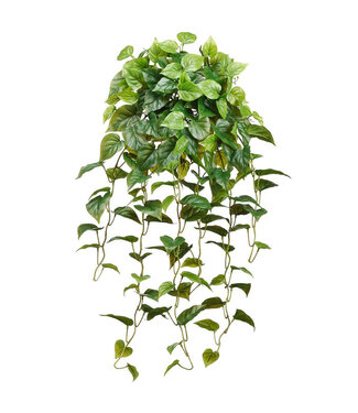Bouquet de Philodendron retombant 36 po