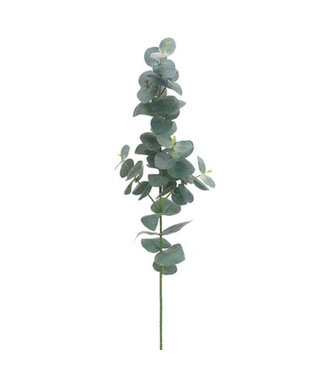 Tige d'eucalyptus vert grisâtre 29 po
