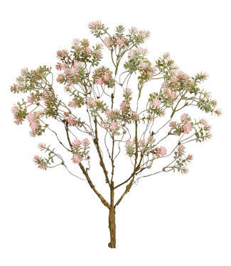 Pic de sédum rose 18 po