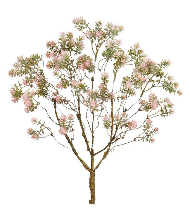 Pic de sédum rose 18 po