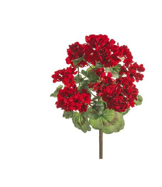 Bouquet de géranium rouge UV