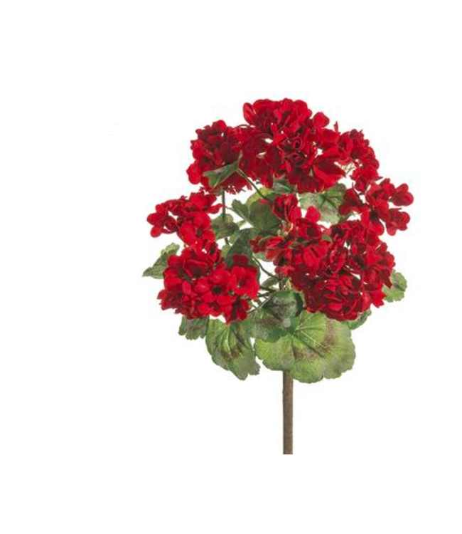Bouquet de géranium rouge UV