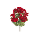 Bouquet de géranium rouge UV