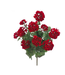 Bouquet de géranium rouge UV