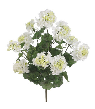 Bouquet de géranium blanc UV 24 po