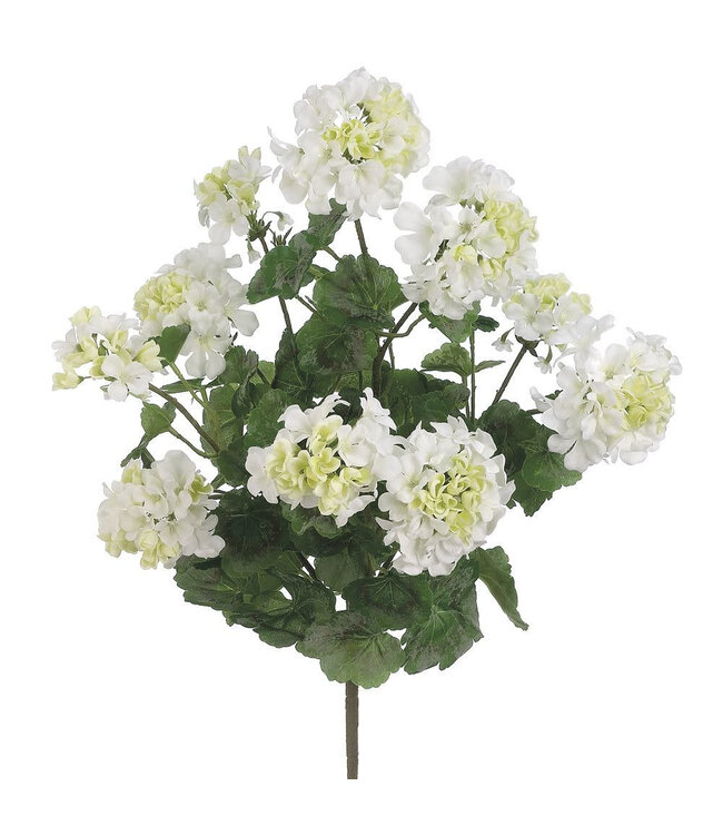 Bouquet de géranium blanc UV 24 po