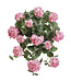 Bouquet suspendu de géranium UV rose 22 po