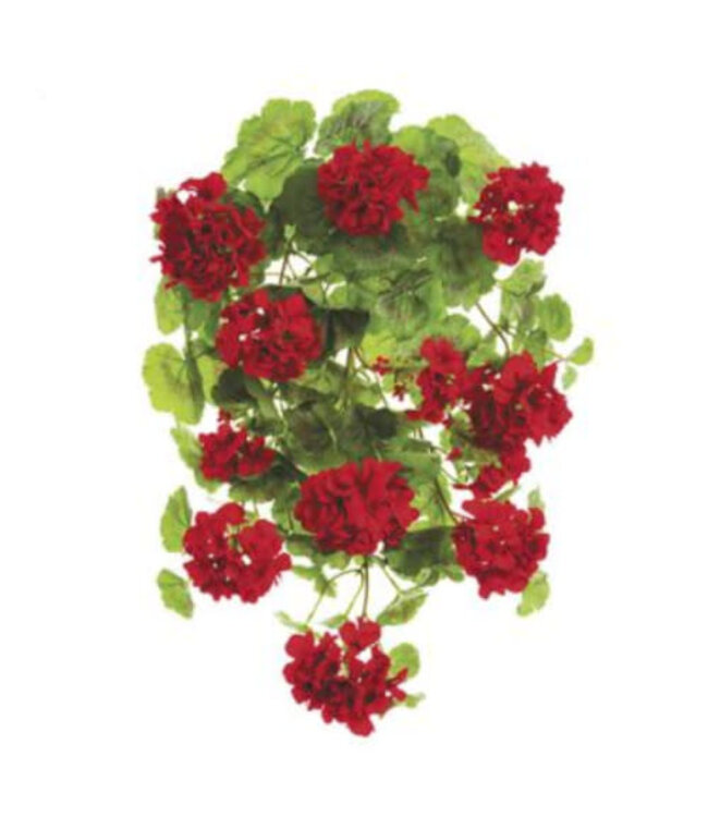 Bouquet de géranium suspendu UV rouge 22 po