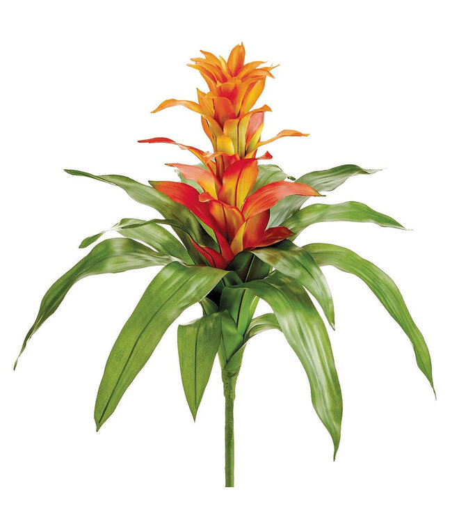 Tige de Bromélia orange 21 po