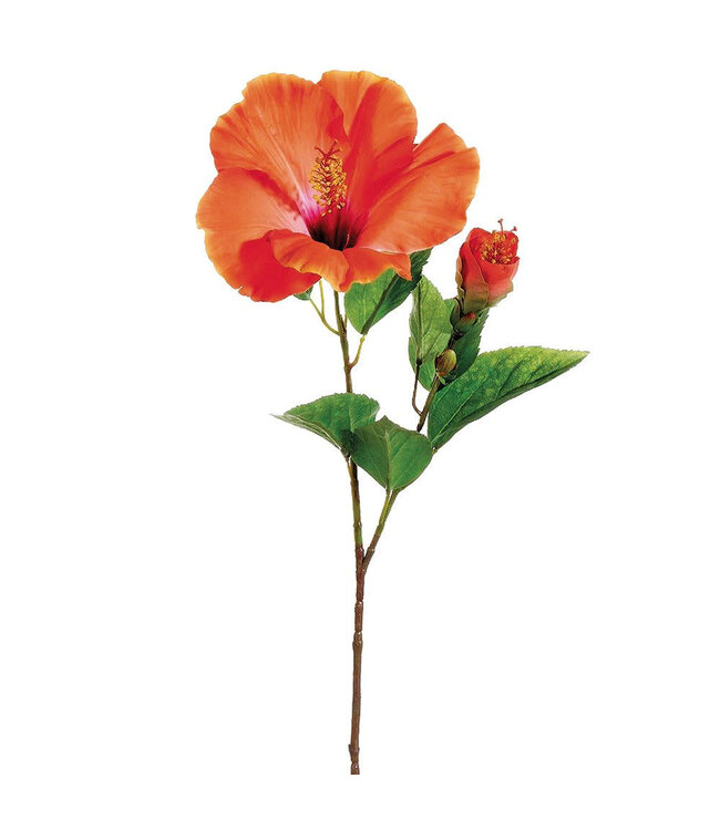 Tige d'hibiscus orange 26 po