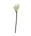 Tige de calla  blanc 30,5 po