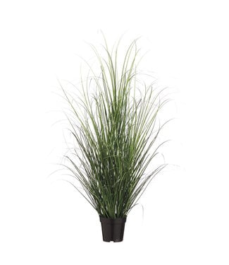Plant d'herbe verte en pot 4 pi