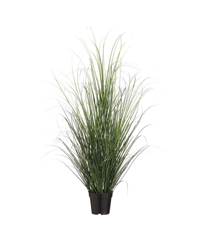 Plant d'herbe verte en pot 4 pi