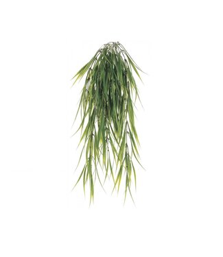 Tige d'herbe retombante 29 po