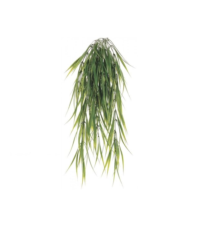 Tige d'herbe retombante 29 po