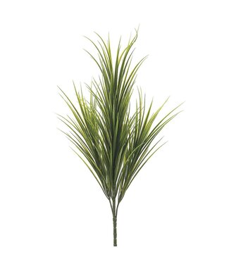 Bouquet d'herbes vertes 30 po
