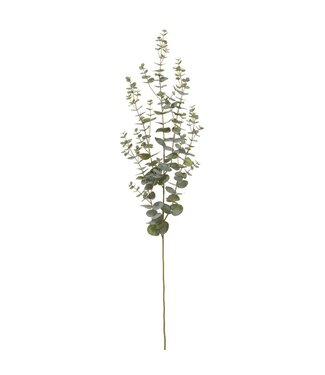 Tige d'eucalyptus grisâtre 57 po