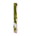 Branche de bouleau avec mousse verte