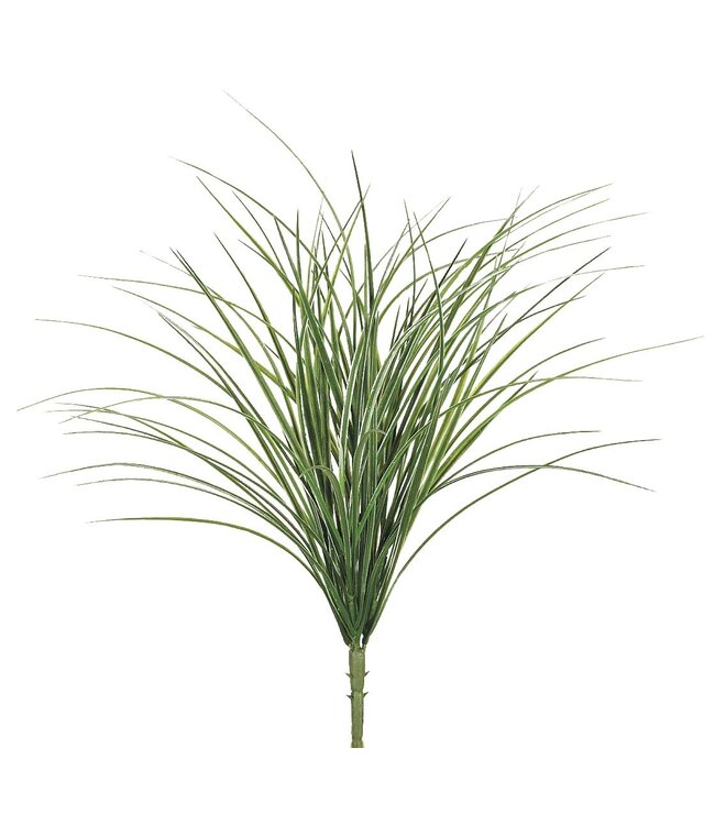 Bouquet d'herbe verte 21 po