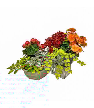 Remerciement mini jardinière
