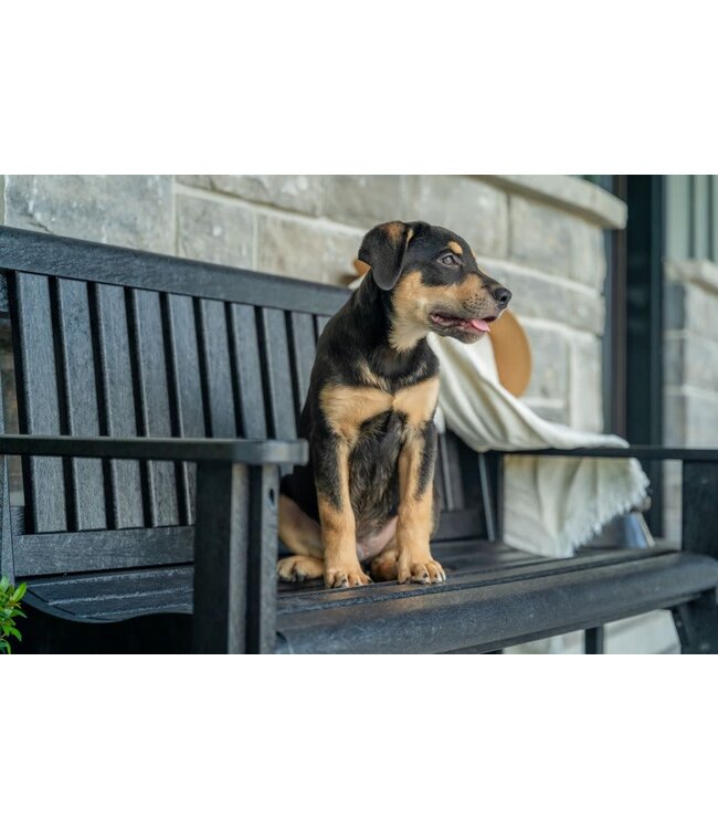 CRP Products Banc de jardin