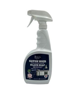Savon Noir Naturel
