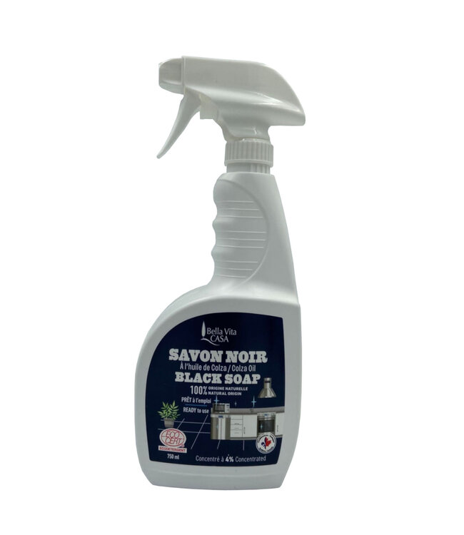 Savon Noir Naturel | Pureté et Efficacité au Naturel