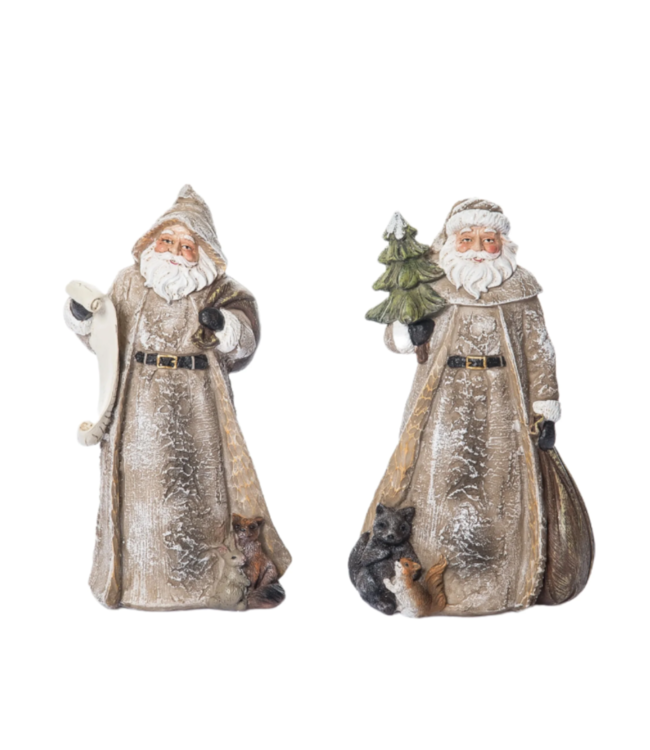 Père-Noël et animaux